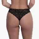 Brasiliana Liz di Rosa Faia Gold Cat