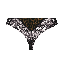 Brasiliana Liz di Rosa Faia Gold Cat