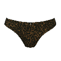 Brasiliana Liz di Rosa Faia Gold Cat
