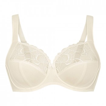 ANI5822.612- Reggiseno...