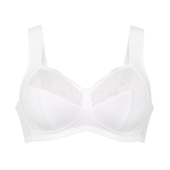 ANI5882.006 - Reggiseno...