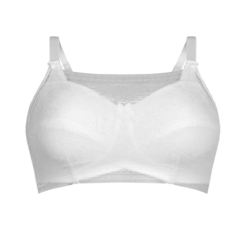 ANI0600.006 - Top bandeau...