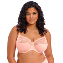 Reggiseno Elomi Morgan con ferretto Rosa | Sostegno Extra fino alla Coppa O