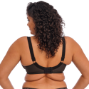 Reggiseno Elomi Morgan con ferretto Ebony | Sostegno Extra fino alla Coppa O