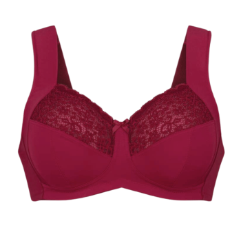 ANI5813.124- Reggiseno...