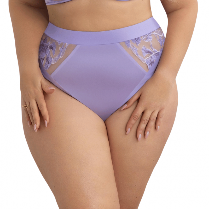 KL-FH-LILI BRIEFHIGHTWAIST- Slip a vita alta con pizzo - Lilla