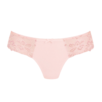 Brasiliana Suzette wild rose Rosa Faia